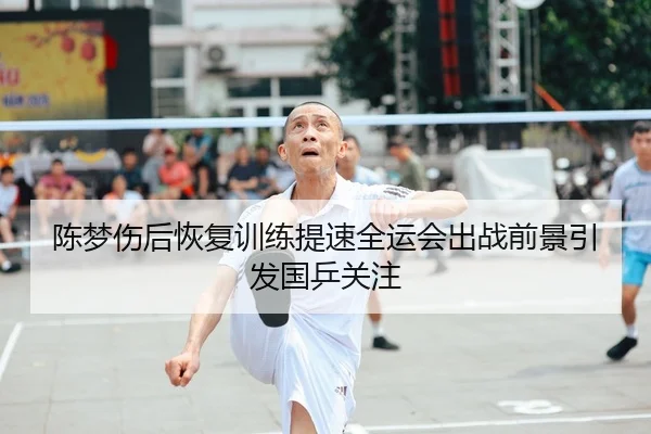 陈梦伤后恢复训练提速全运会出战前景引发国乒关注